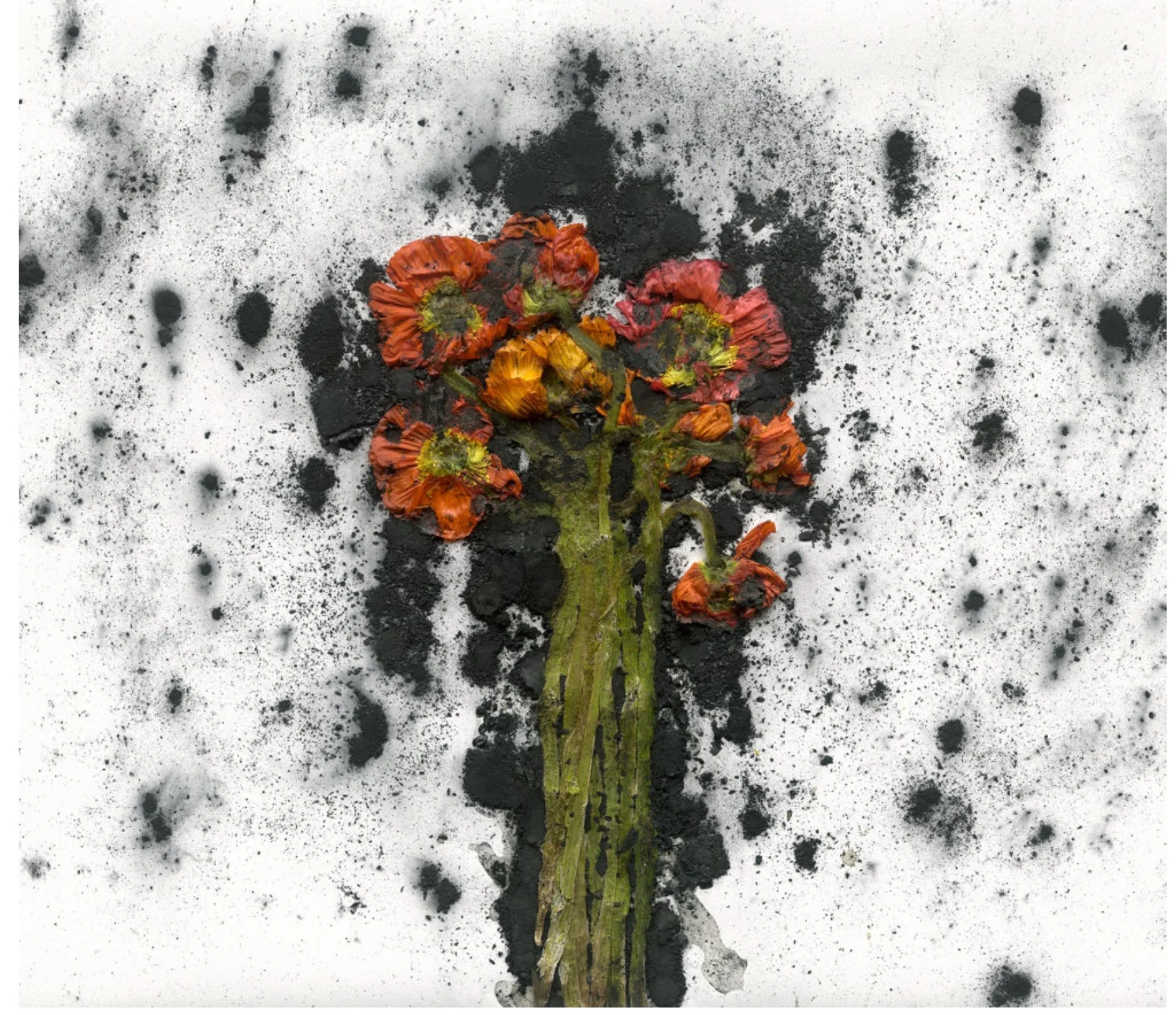 Theia, 2024, Pigment print, 30 x 33 in