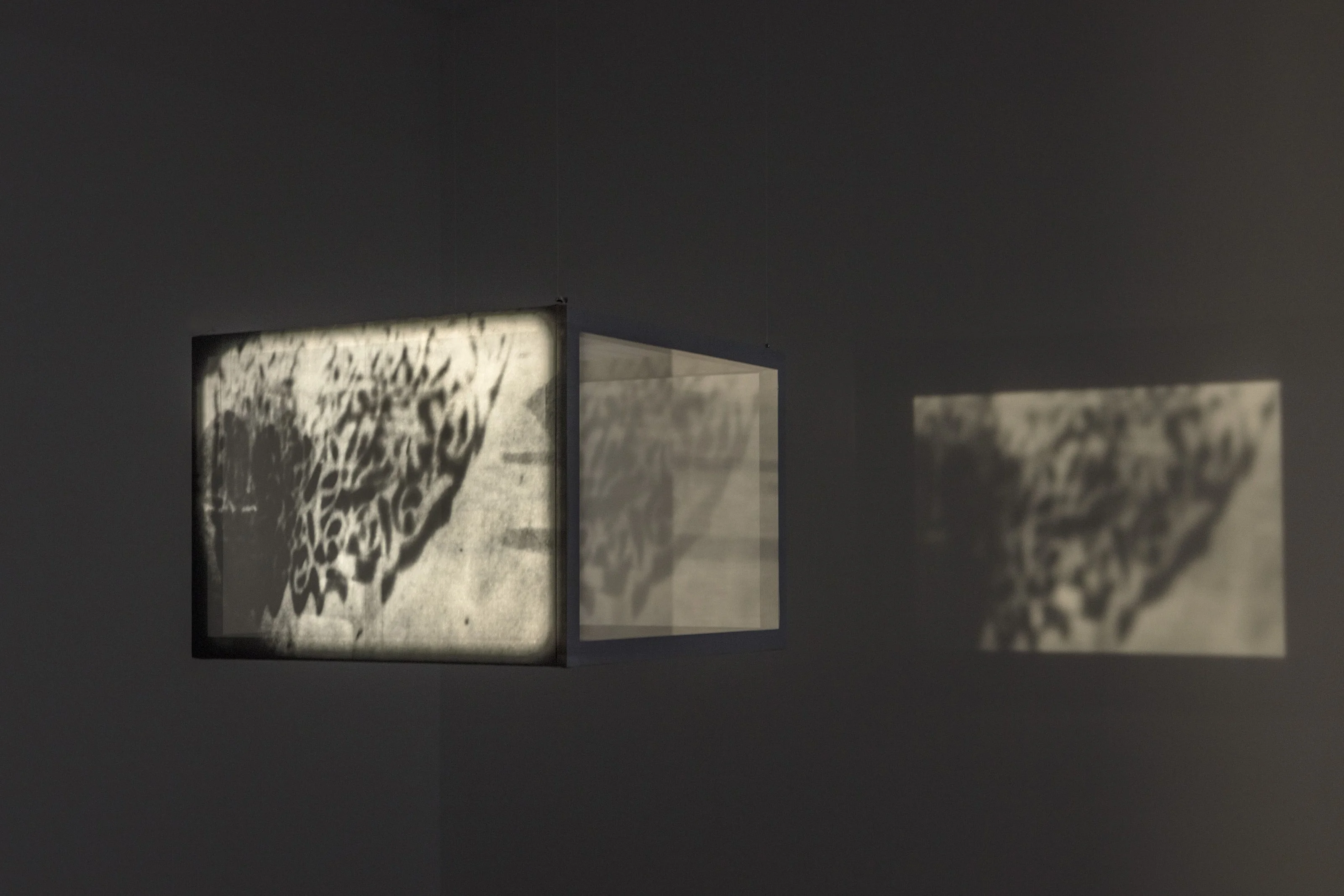 Galvanoscope, 2018, Projector, 16 mm film, wood, 3 min screen time on loop. 58,4 x 78,7 x 78,7 cm