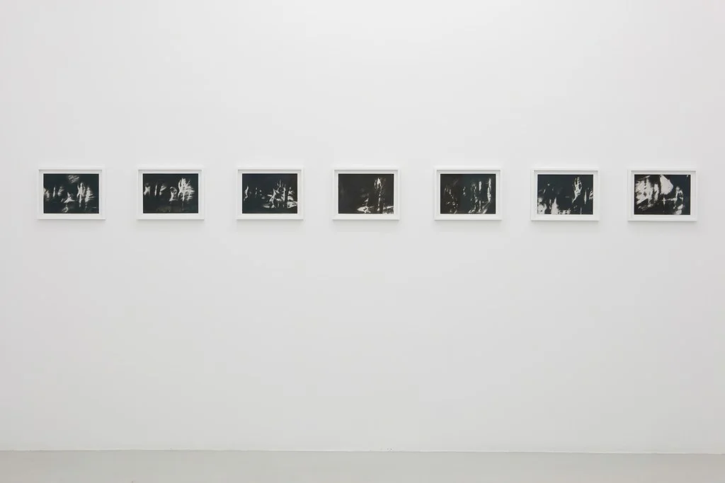 Canto II, 2017, set of 7 drawings, Raha Raissnia, Carboncillo y acrílico sobre papel, 22,7 x 31,7 cm